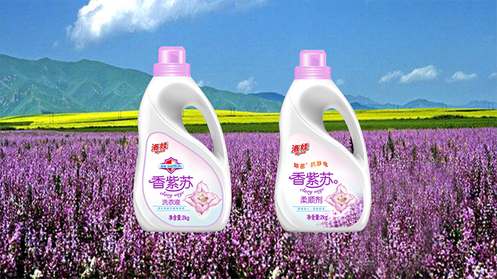 洛娃日化嫁接新疆昭苏飘香产业链， 新产品助推香紫苏产业发展