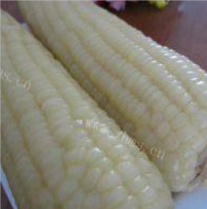 国家标准明确禁止 煮玉米不能加入玉米香精